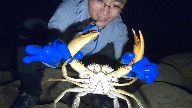 海底大猎杀螃蟹王游戏：捕蟹高手经验大揭秘