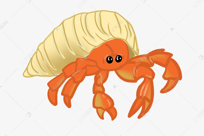 螃蟹生物模式图片_螃蟹生物图_螃蟹 模式生物