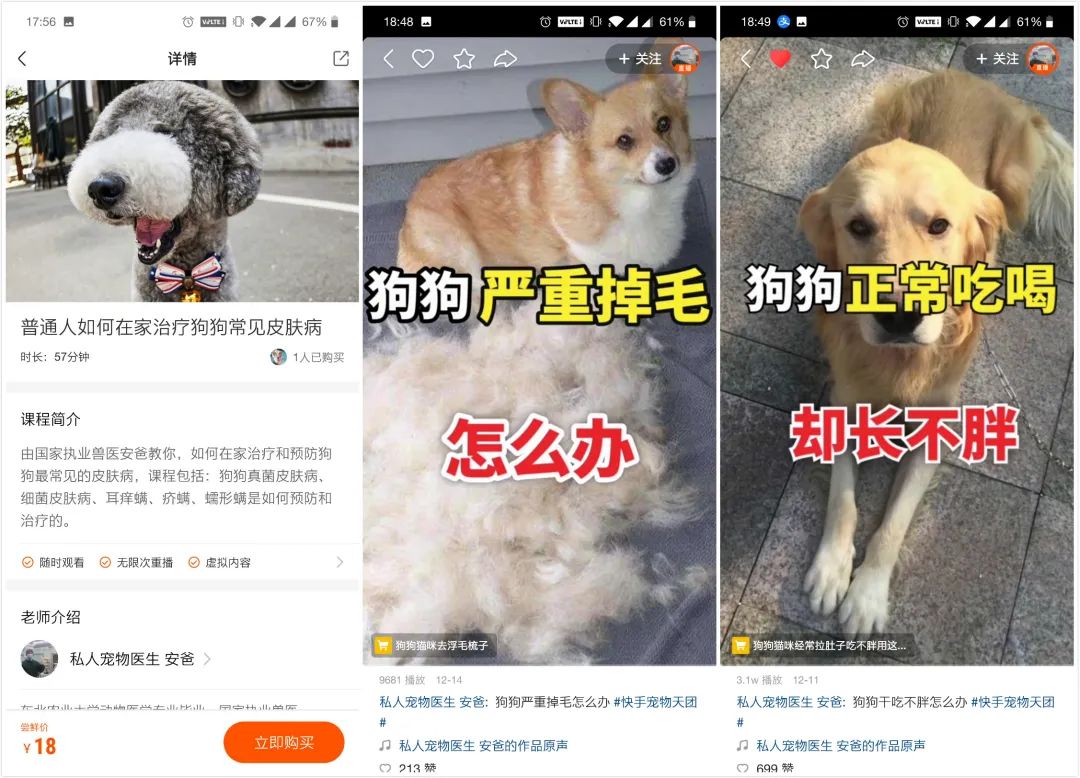 抓宠作弊码大全_梦的光点4.0抓宠作弊码_抓别人宠物的作弊码