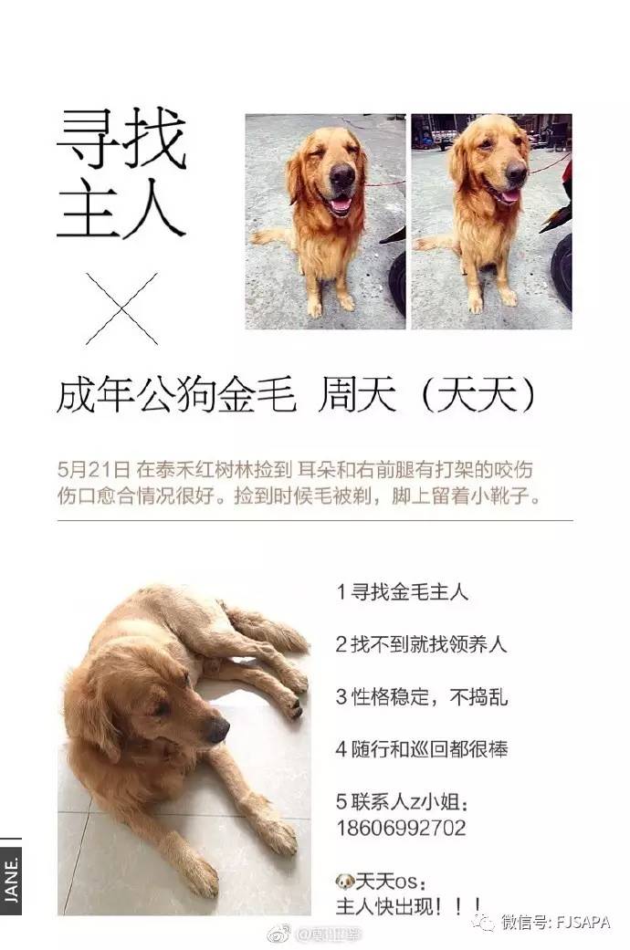 抓别人宠物的作弊码_梦的光点4.0抓宠作弊码_抓宠作弊码大全