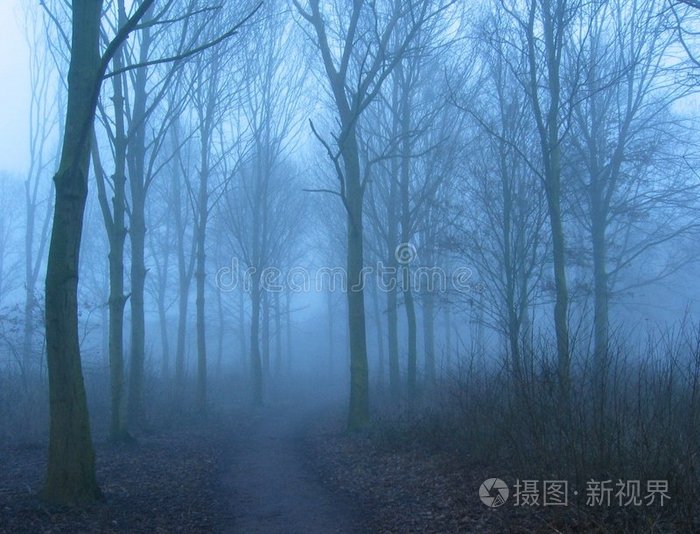 桃花源记野花刷新时间_桃花源记手游野花刷新提示_桃花源记野外boss刷新时间