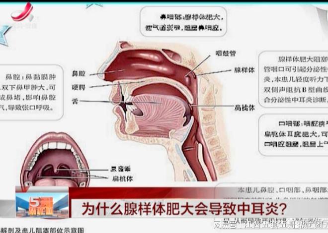 腔体二功分器是什么材料_腔体器官是什么意思_腔体二功分器是做什么用的