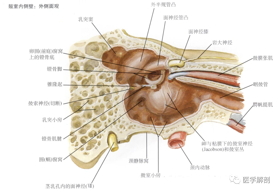 腔体二功分器是什么材料_腔体二功分器是做什么用的_腔体器官是什么意思