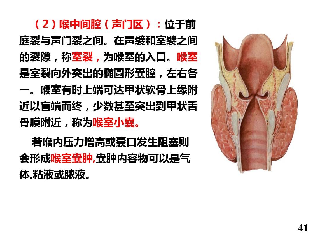 腔体器官是什么意思_腔体二功分器是做什么用的_腔体二功分器是什么材料
