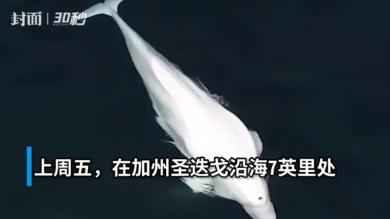侠客风云传十四天书触发条件_辐射4核子世界触发条件_大航海4提白鲸像触发条件