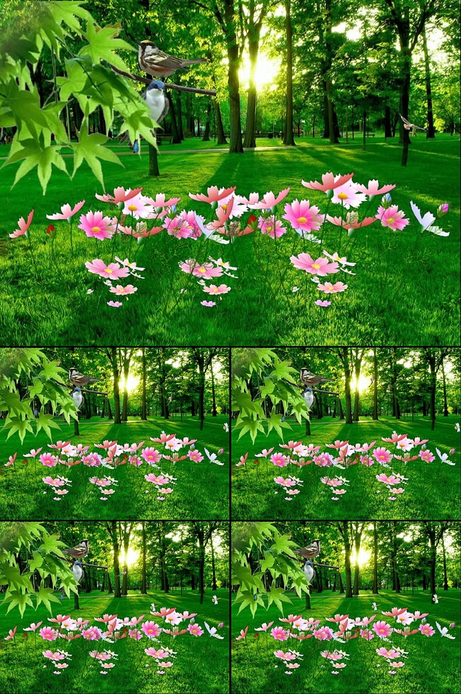 大魔王夏天y个人空间_爱拍夏天y_夏天y