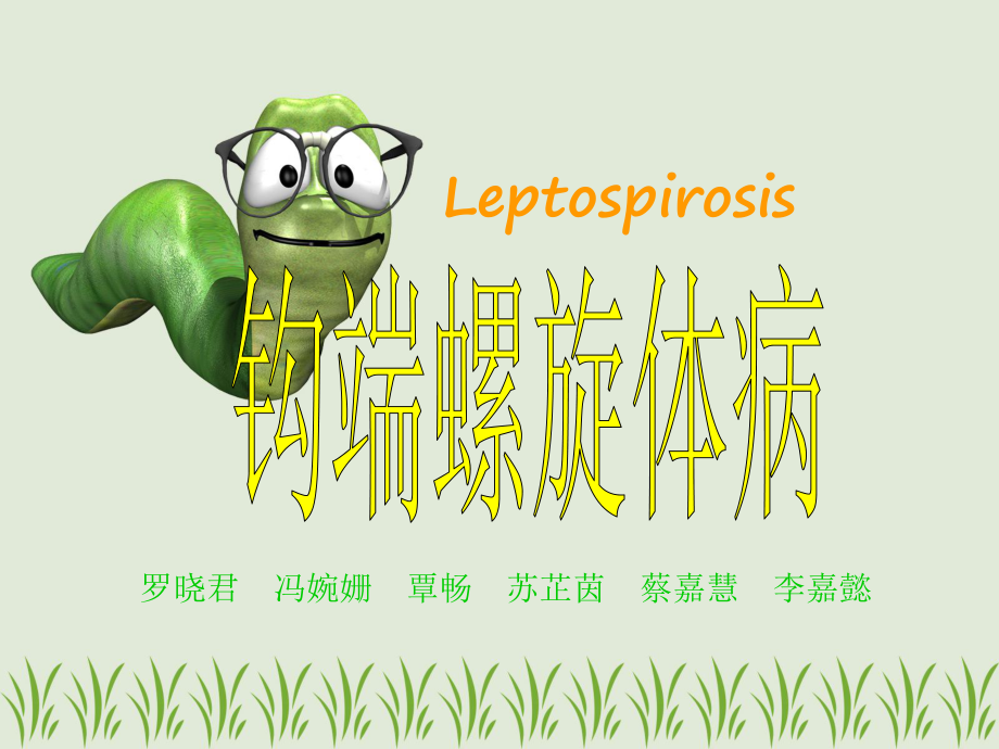 人得钩端螺旋体怎么办_钩端螺旋体人的会死吗_钩端螺旋体人传人吗