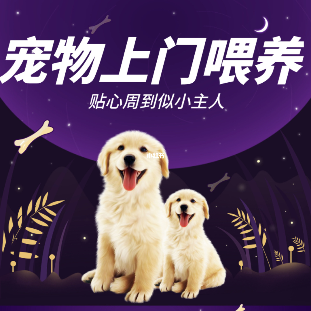 勇士的信仰宠物装备哪个好_勇士的信仰宠物易爆点_勇士的信仰宠物等级怎么刷
