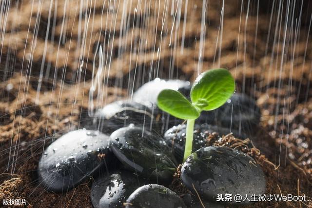 强者就是迎难而上图片_强者图片素材_强者迎难而上