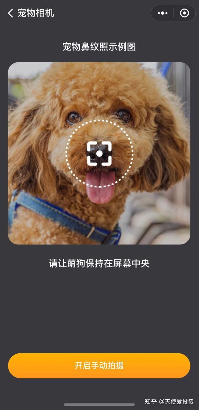 梦的光点4.0抓宠作弊码_抓别人宠物的作弊码_宠物作弊码