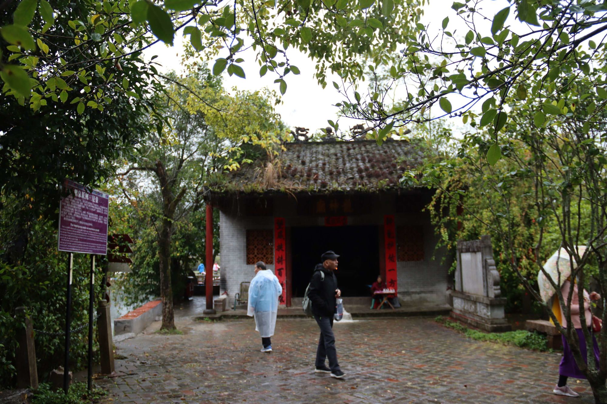 上方谷是真实事情吗_洛心的小雏菊是真实事情吗_上方谷