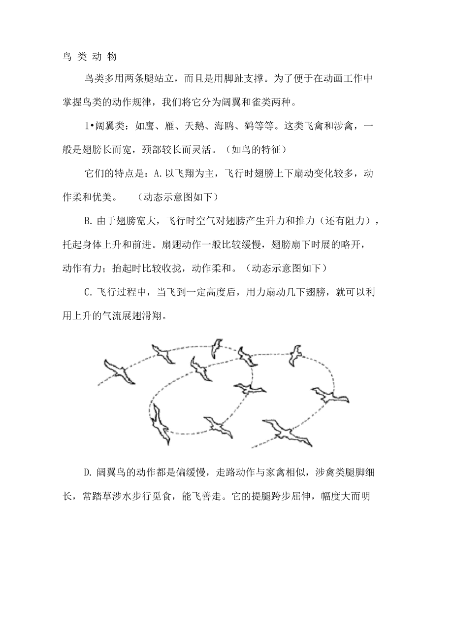 说自己是没有脚的鸟_寻仙后期都说打鸟是什么_寻仙嘟嘟鸟移动速度