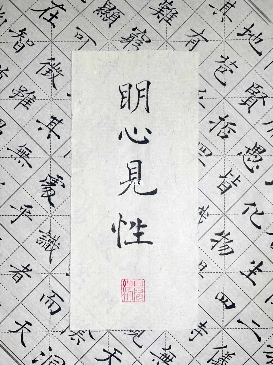 文明修身活动个人总结2500_文明修身报告_文明修身个人小结1000