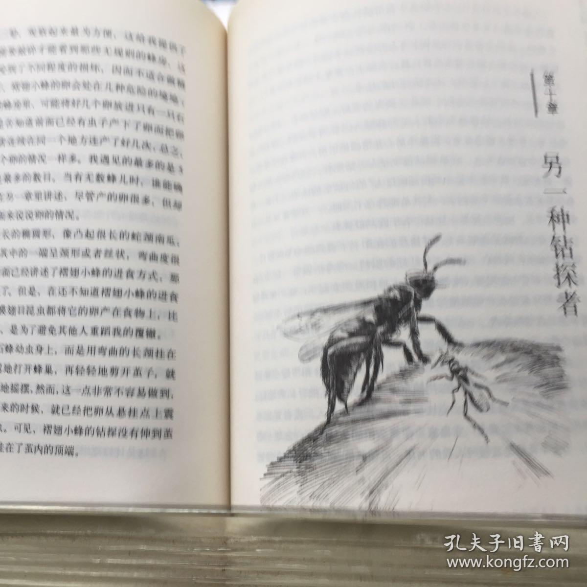 杨红樱的书适合三年级的有哪些_适合三年级的英语小故事_哪个版本的昆虫记适合三年级