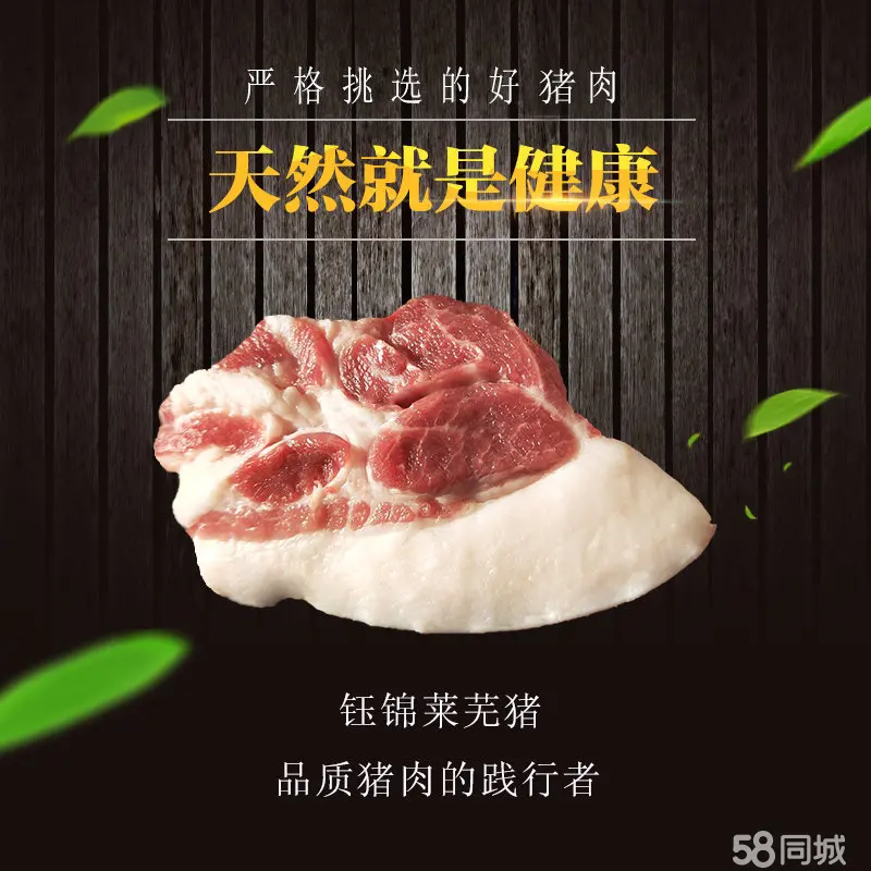 黑加宝黑土猪加盟条件_黑土地加盟店_广东黑加宝土猪