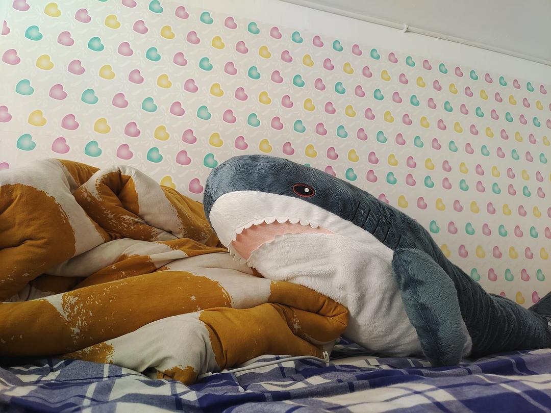 少女病有一百种_鲨鲨比亚是谁_鲨鲨比亚少女病有100种
