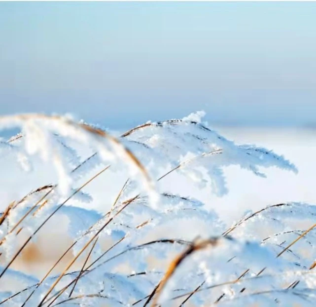 完美国际飞雪挂多少钱_完美国际飞雪挂怎么登不上去_完美国际飞雪帮挂怎么用
