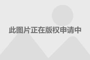 用身份证号能查到什么_四项目身份能用几次_项目身份证