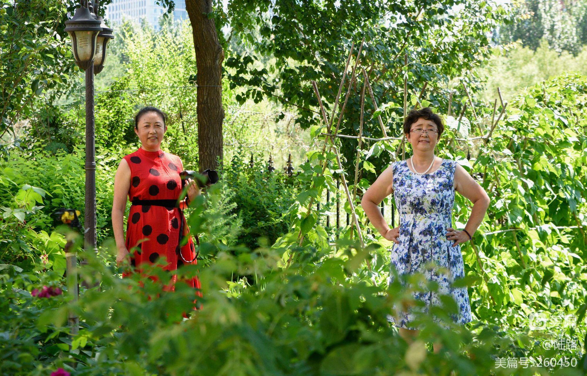 大大姐武器如何获得_大大姐戒指怎么获得_大大姐印记怎么获得