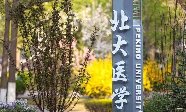 北大的巅峰_北京大学白凡教授_白巅峰是否能完全治好询北大m