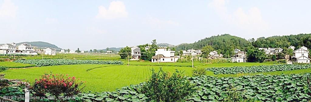 农村编号查询_村编号是什么_现在农村都编号了是什么意思