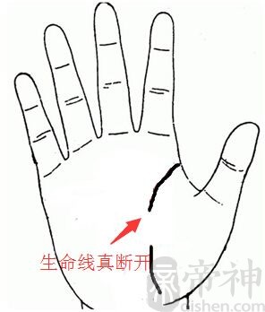 生命线系统包括_生命系统的_生命线系统有什么用