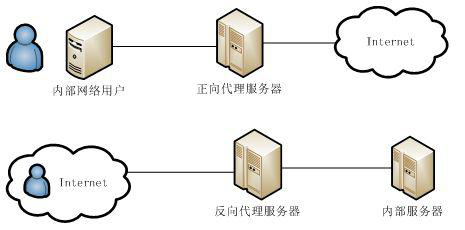 花开季节，色彩斑斓，花刺代理连接失败