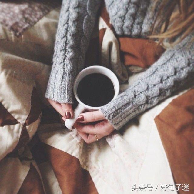 奇乐_奇乐农庄_奇乐熊