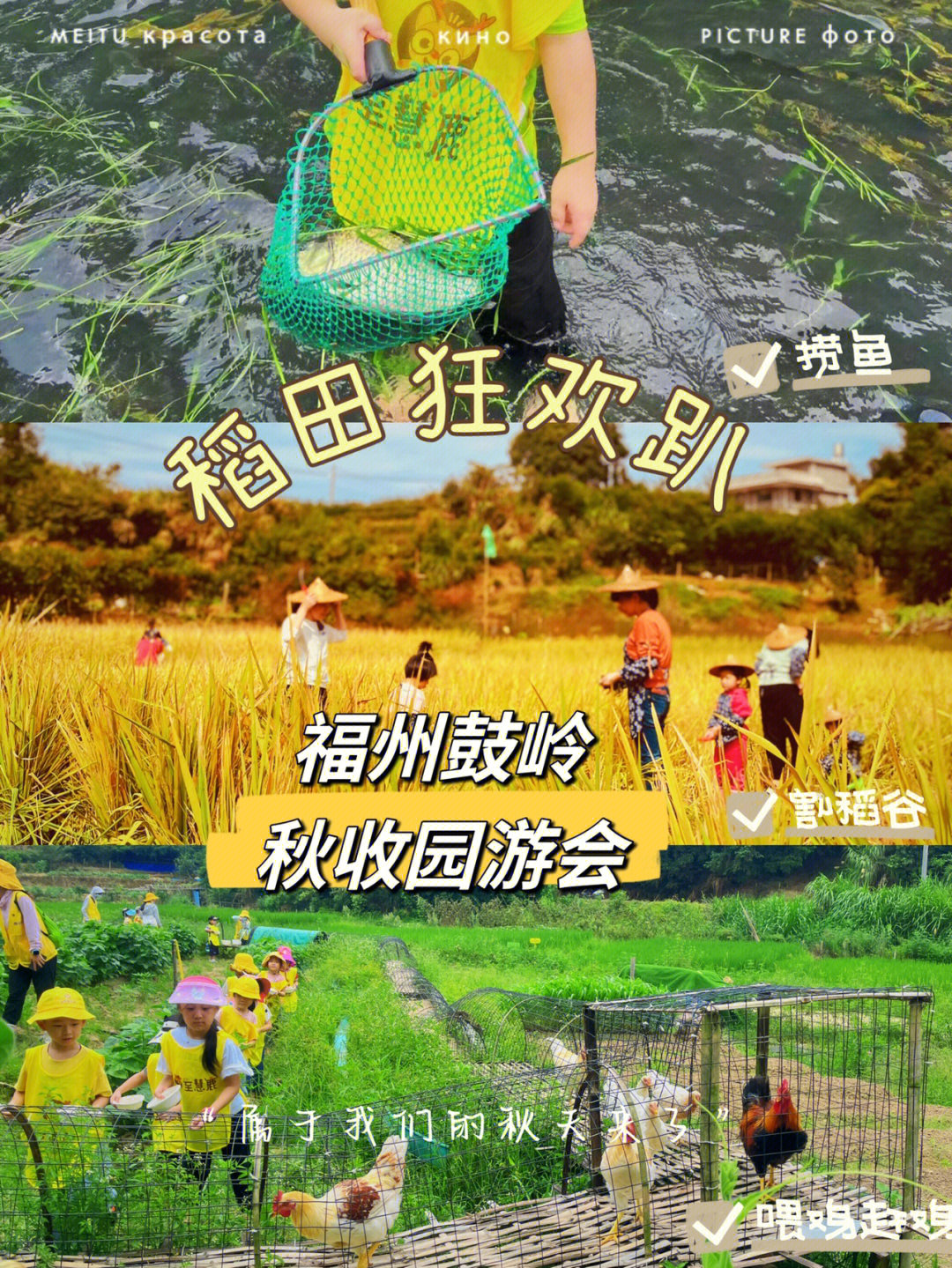 星露谷物秋季鱼王在哪_星露谷秋季鱼王_秋季鱼王星露谷物语