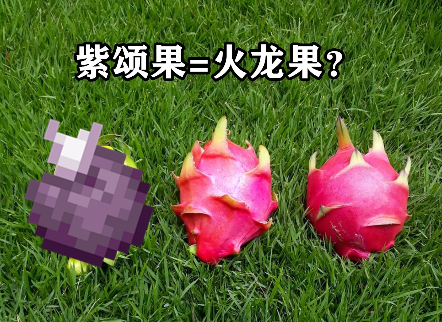 紫颂果原型_紫颂果有什么用_我的世界紫颂果有什么用
