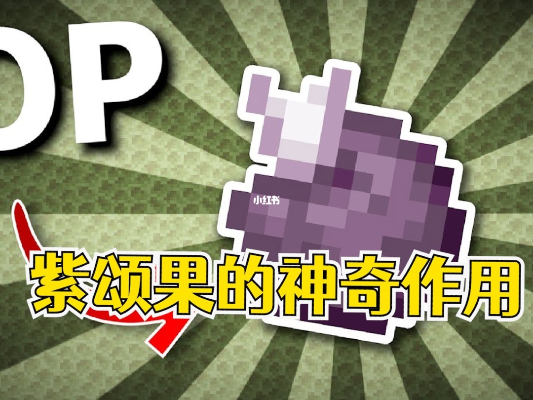 紫颂果原型_紫颂果有什么用_我的世界紫颂果有什么用