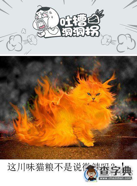 手游排行榜2021前十名传奇_2021最火手游传奇游戏_传奇手游排行榜2023前十名