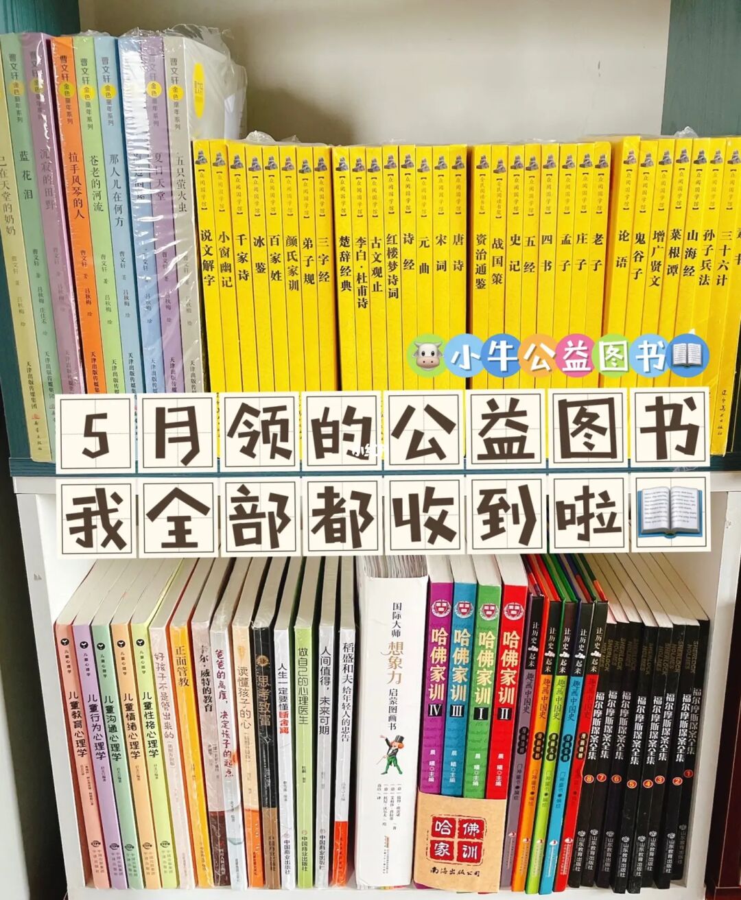 当书网：登陆即陷入魔力世界
