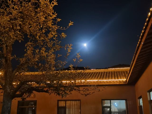 月清疏