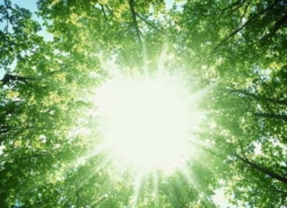 虓虎弑父怎么解锁_虓虎之勇_虓虎