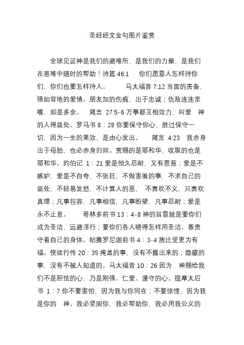 圣经今日在线阅读_今日圣经_圣经今日不为明日忧愁