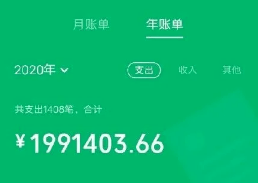 支付宝年账单_支付宝年账单是真实的吗_支付宝年账单支出准吗
