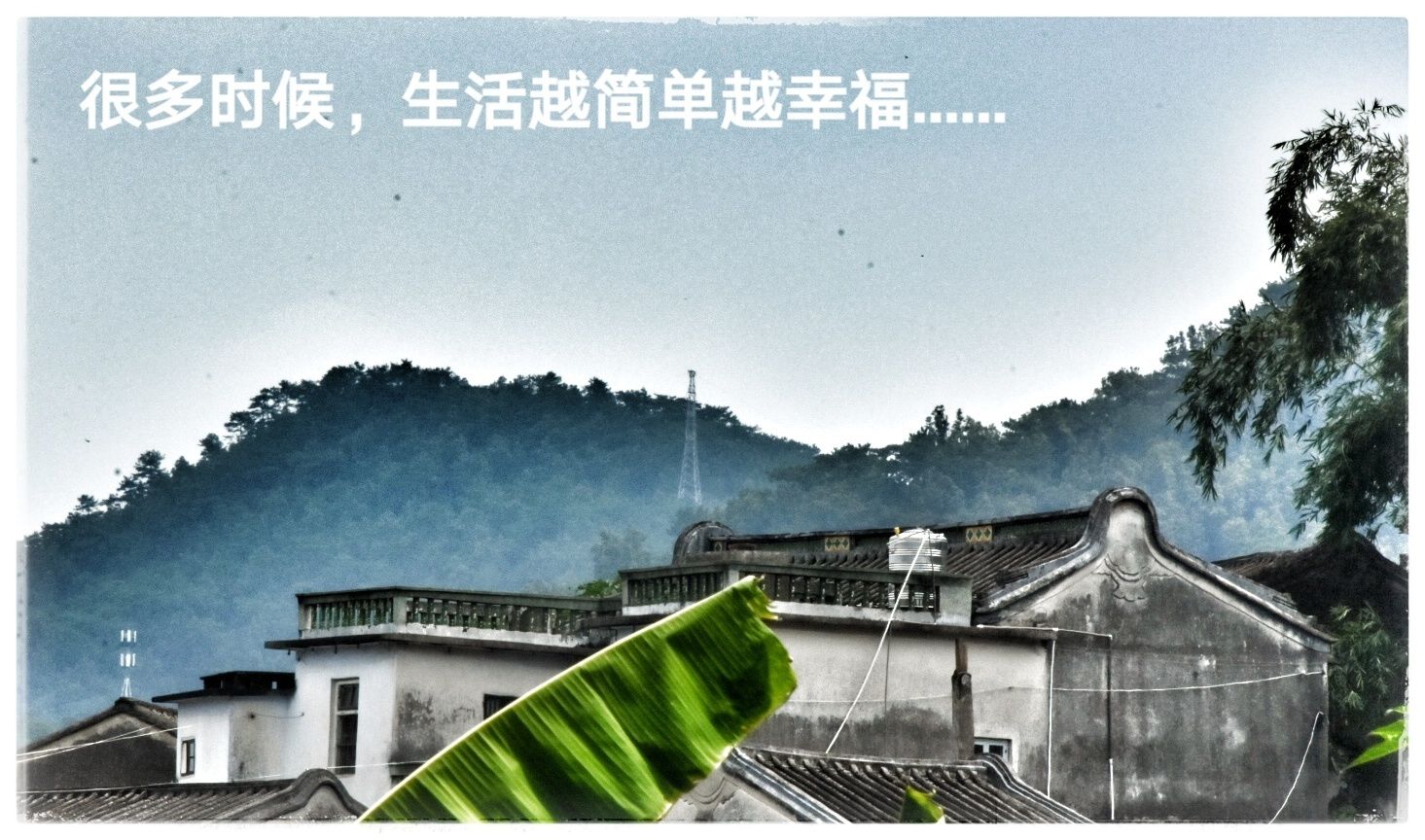 密乐思丁的功效_密思卡黛乐_密乐