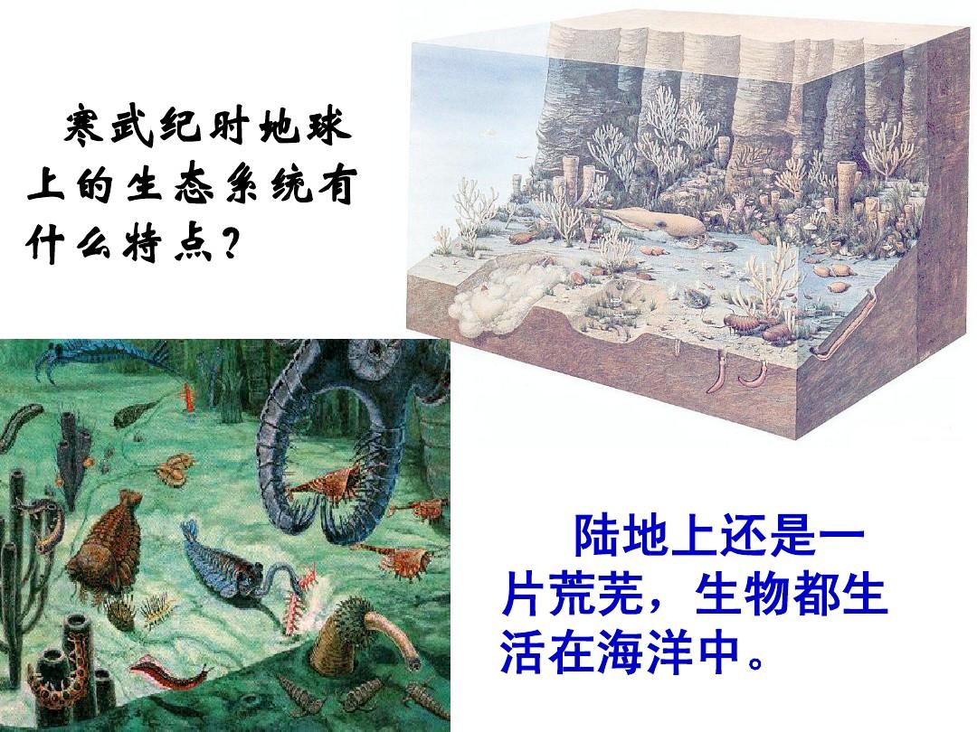 生物世界绘画_我的世界所有生物_生物世界探秘手抄报