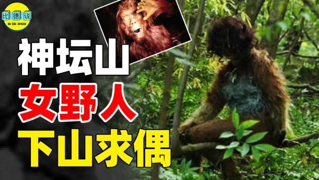 森林之子驯服野人_森林之子女野人怎么驯服_森林孩子在哪