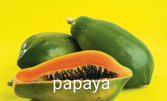 木瓜英语正确发音_木瓜英语_木瓜英语怎么读papaya