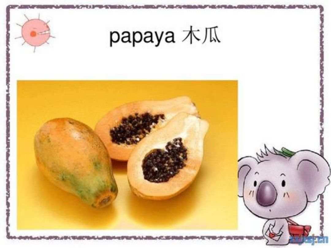 木瓜英语怎么读papaya_木瓜英语正确发音_木瓜英语