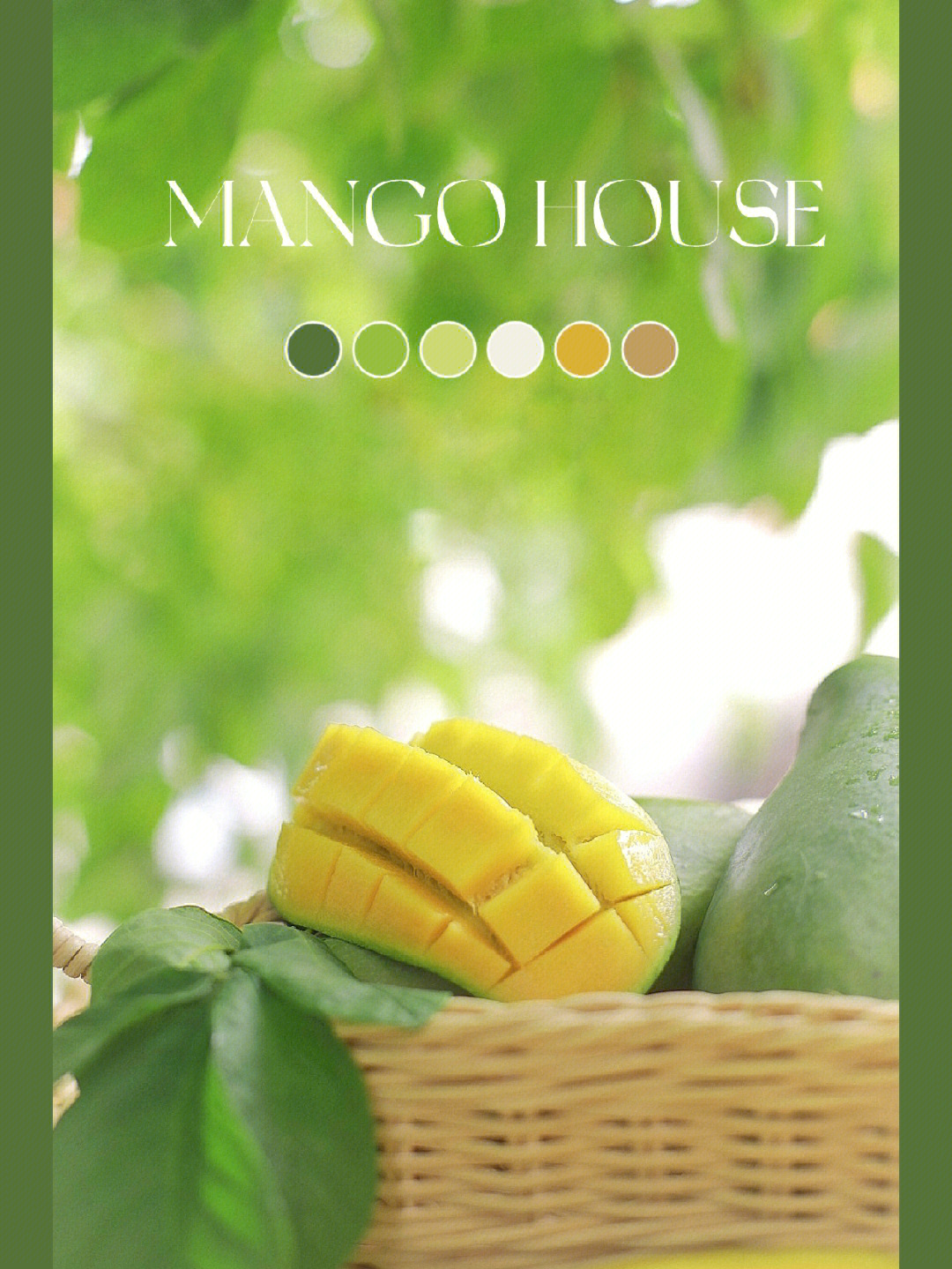 芒果店长app下载手机版_芒果app下载网站进入色板_芒果直播app