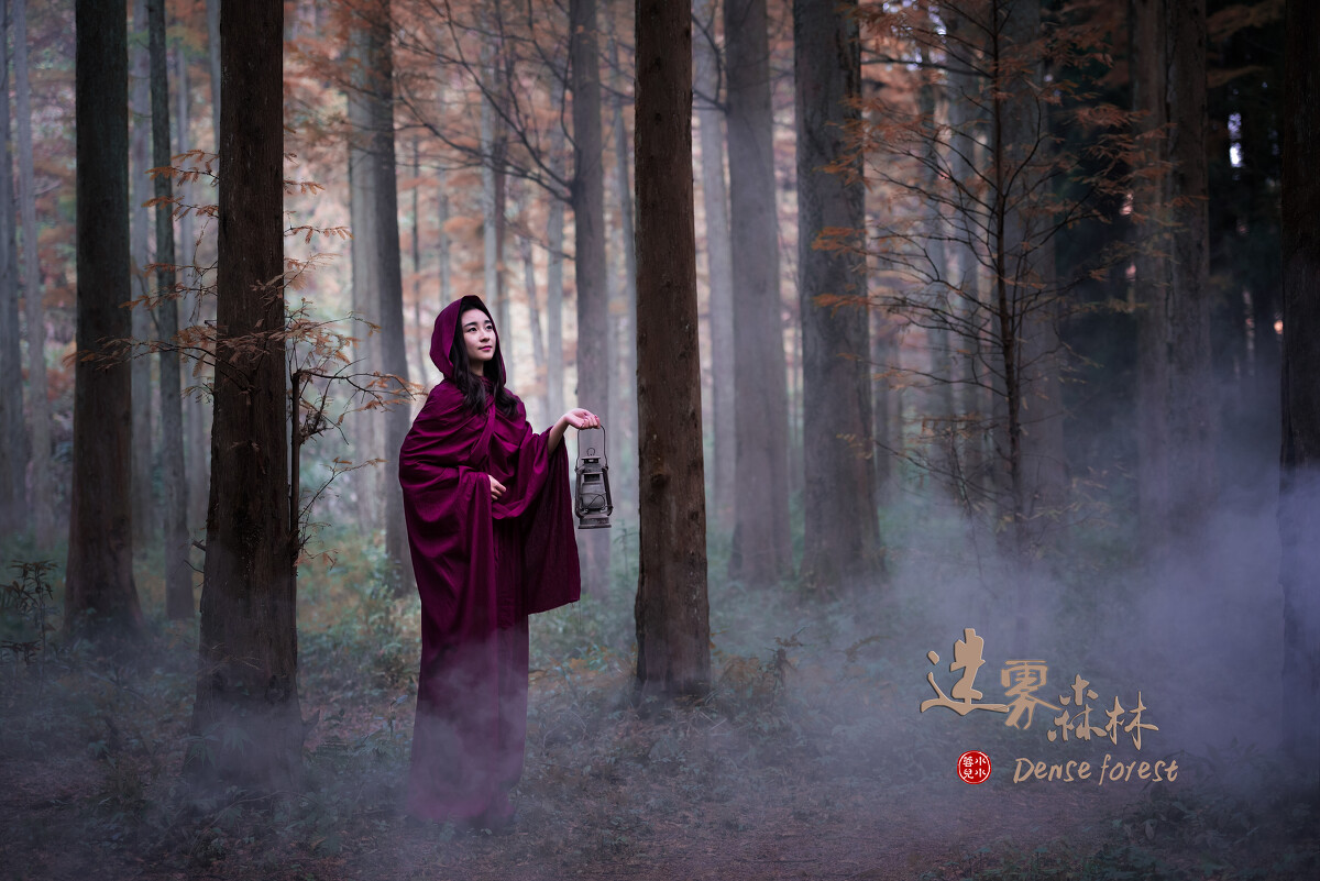 迷雾中的孩子_迷雾中歌曲_迷雾之中