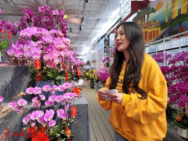 花房直播_下载安装花房直播_花房直播礼物怎么提现