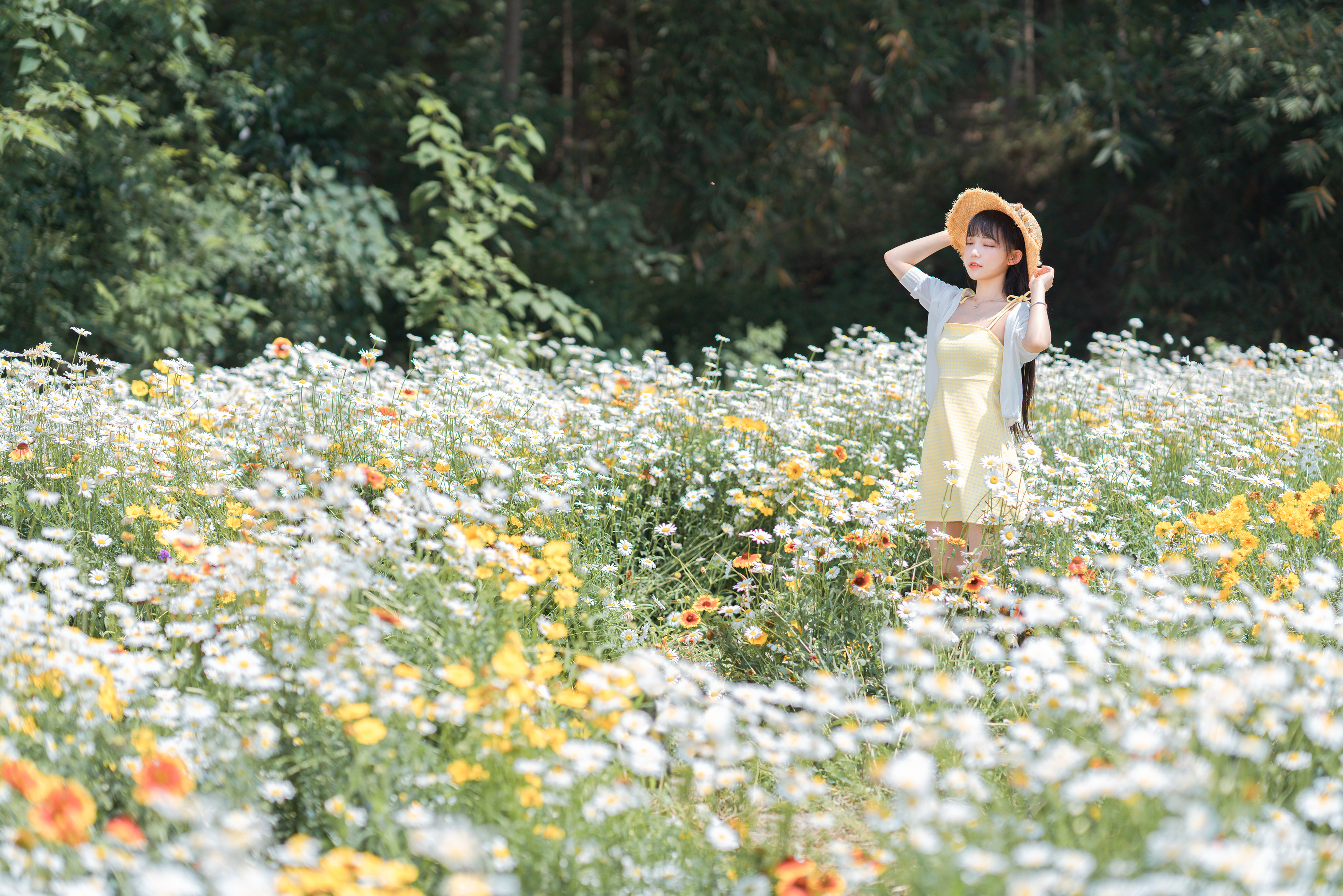 剑仙灵手游职业选择_花与剑手游_剑花怎么玩