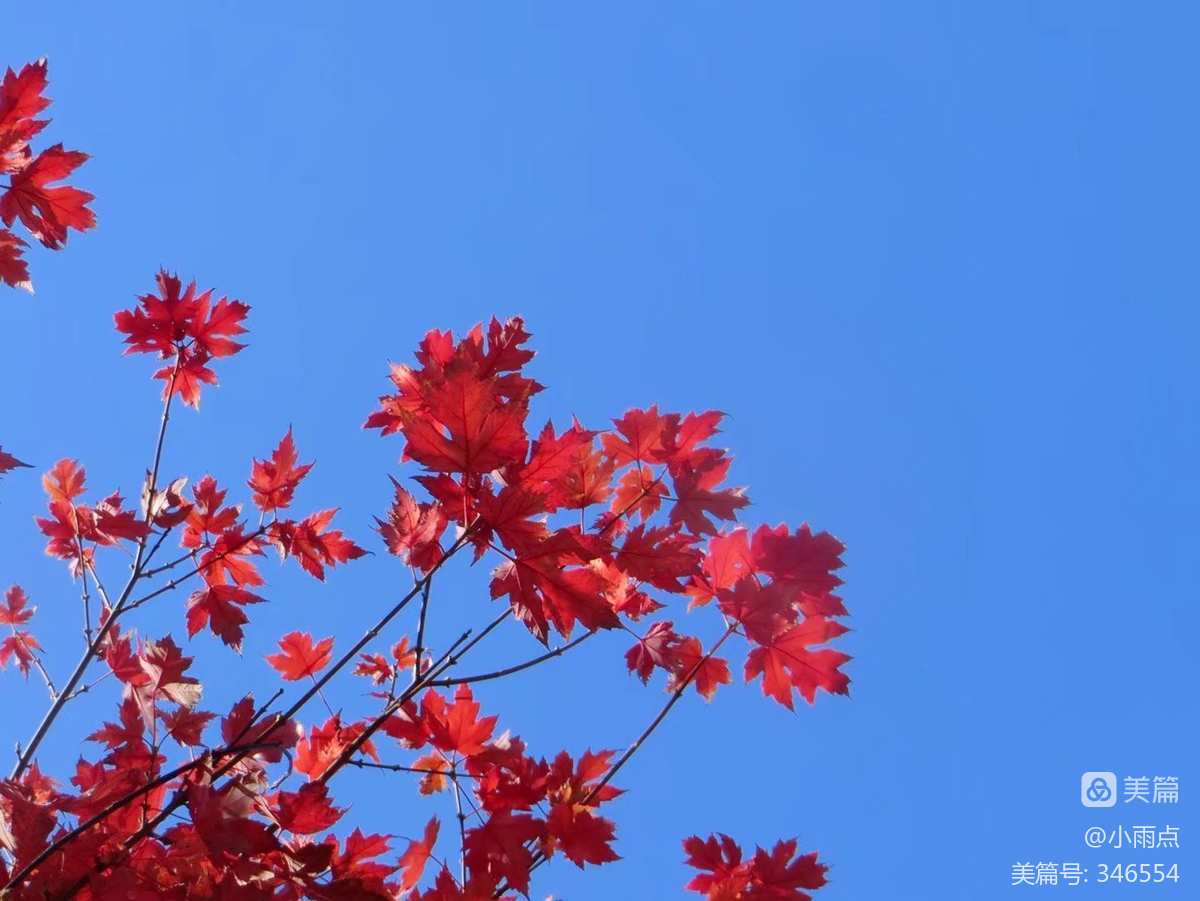 黄枫谷：神奇美丽的秋叶胜地