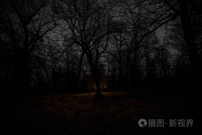 精灵夜想曲_夜之精灵_精灵梦叶罗丽第八季