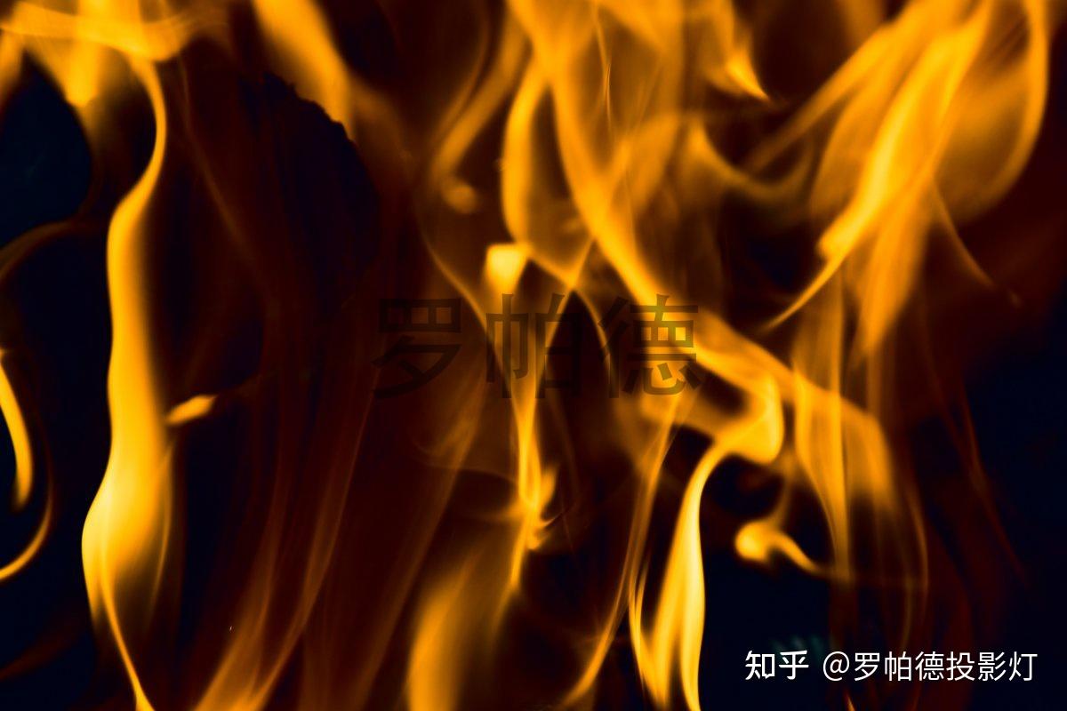 原神采集点_原神小灯草在哪里采_小灯草原神采集地点