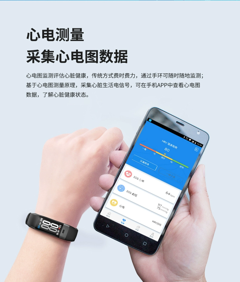 电萤虫进化_电萤虫进化图_电萤虫